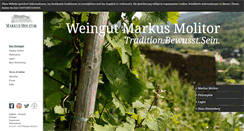 Desktop Screenshot of markusmolitor.com