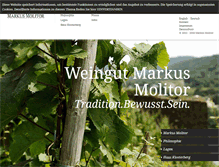 Tablet Screenshot of markusmolitor.com